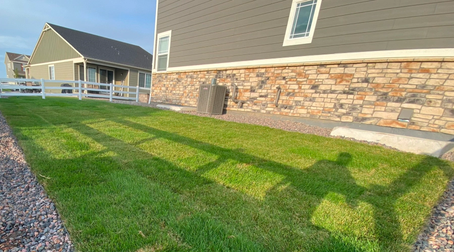 property maintenance (1)